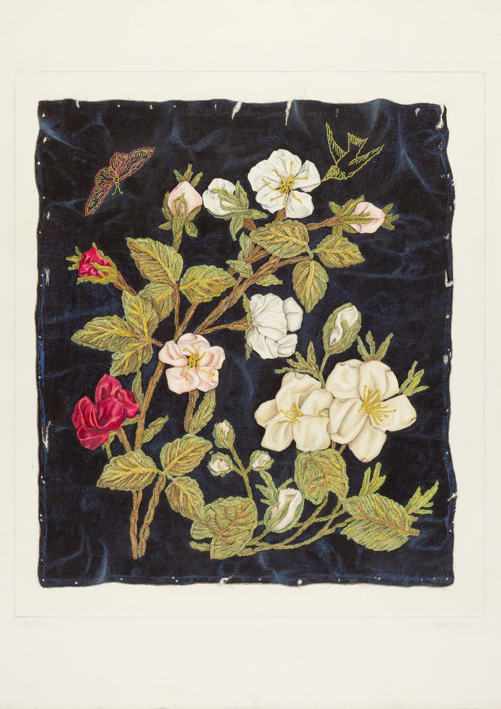 Flowers and leaves on a dark blue background.