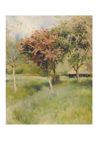 Art print of blooming hawthorn trees in a field