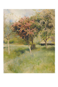 Art print of blooming hawthorn trees in a field