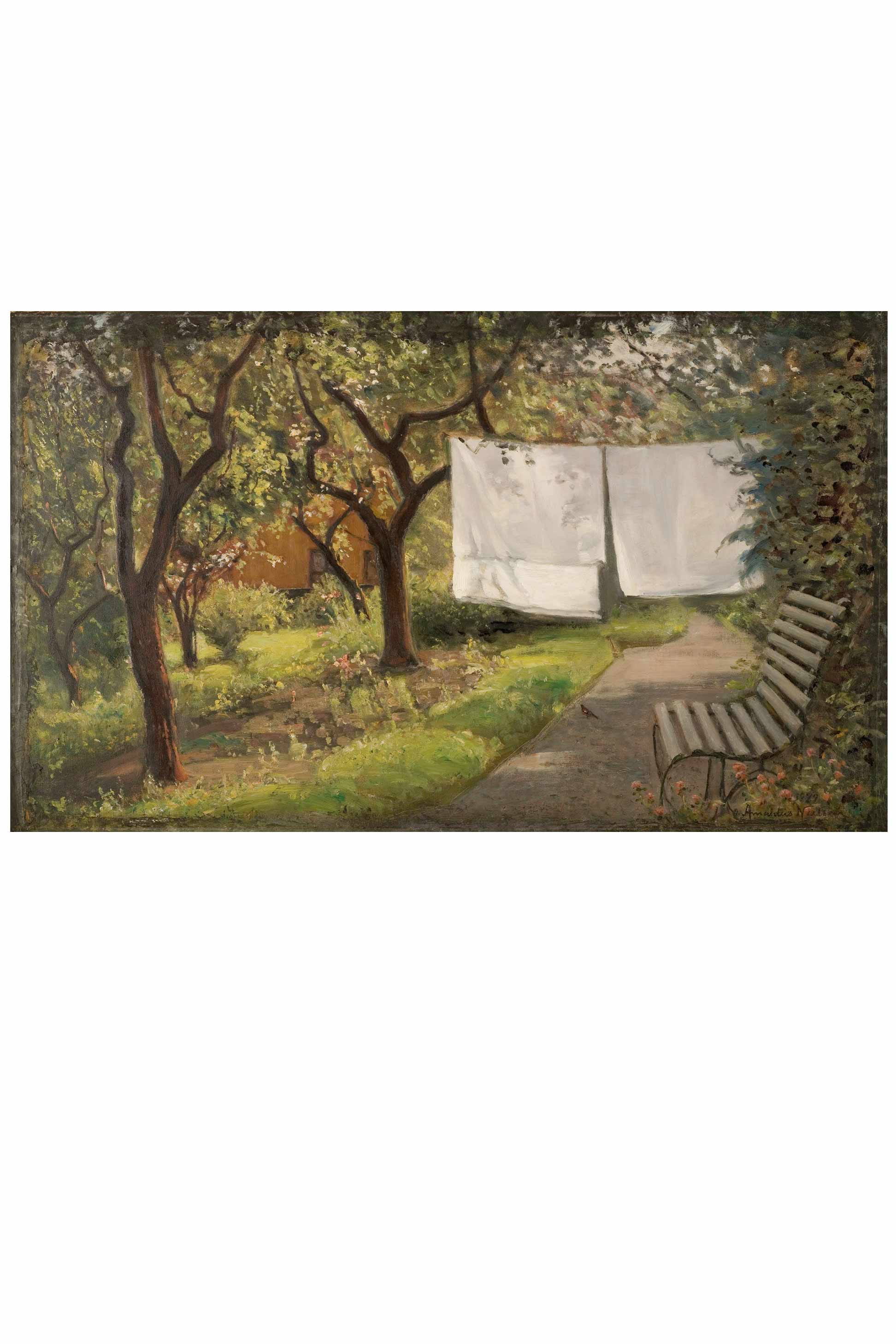 laundry on clothesline in garden with bench