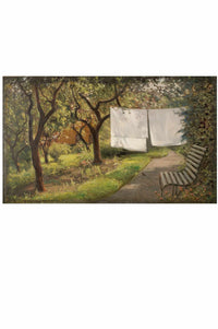 laundry on clothesline in garden with bench