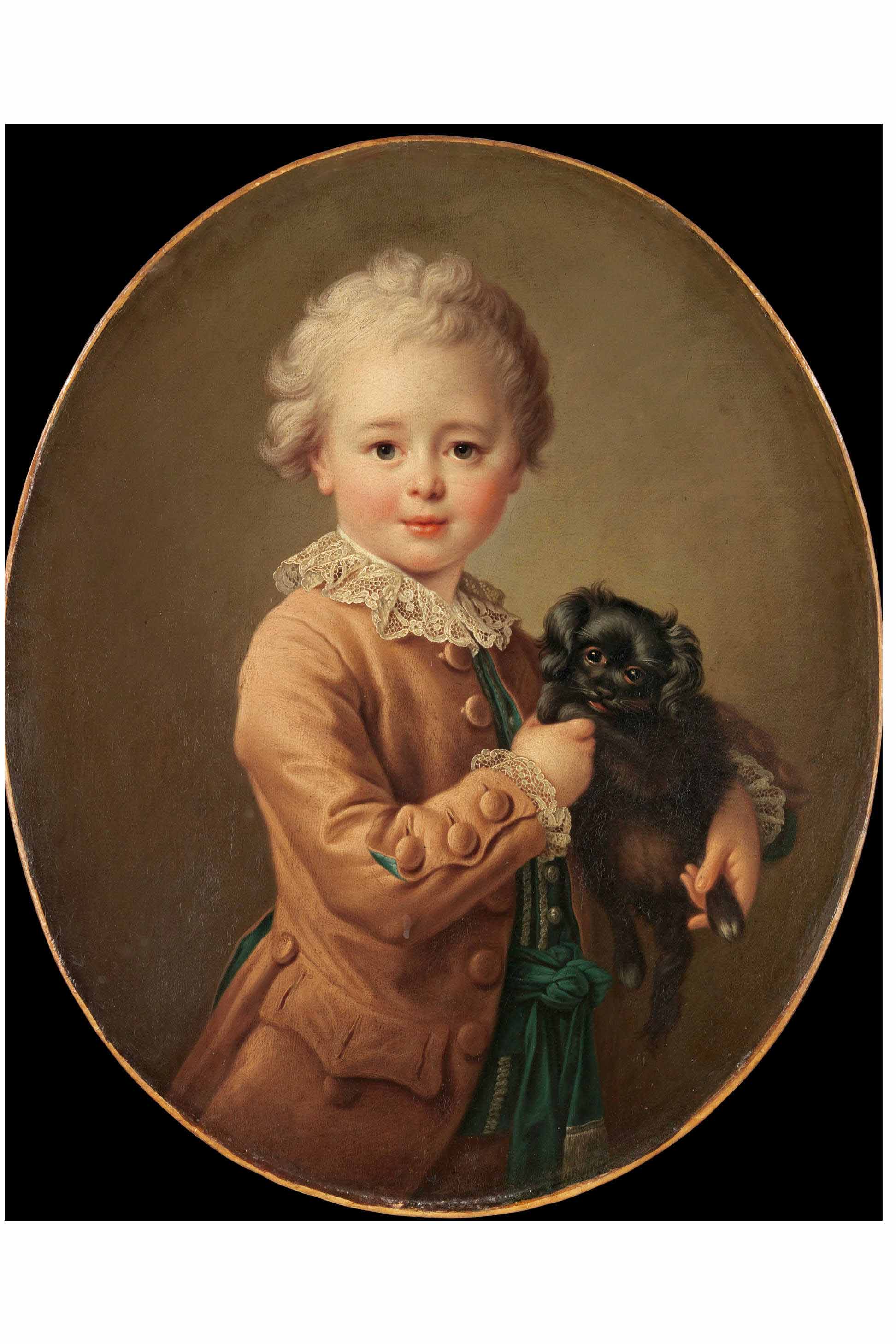 Boy with spaniel dog portrait