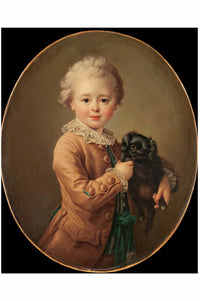 Boy with spaniel dog portrait
