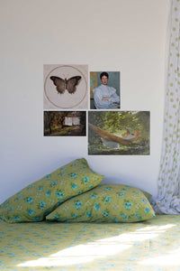 Butterfly, Portrait & Landscape