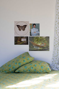 Butterfly, Portrait & Landscape