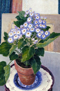Cineraria flower in pot, watercolor painting