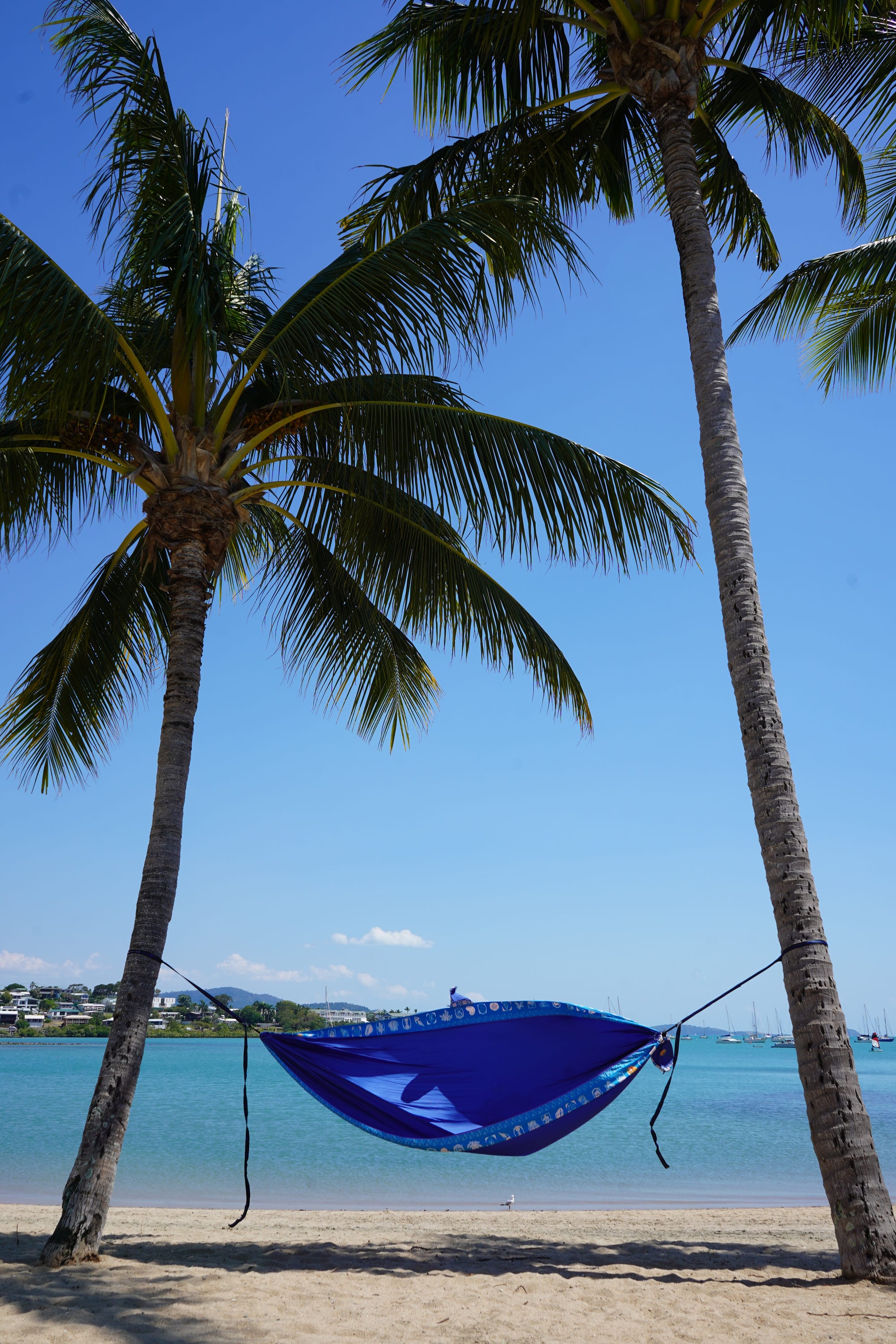 Hammock - Reef Blue