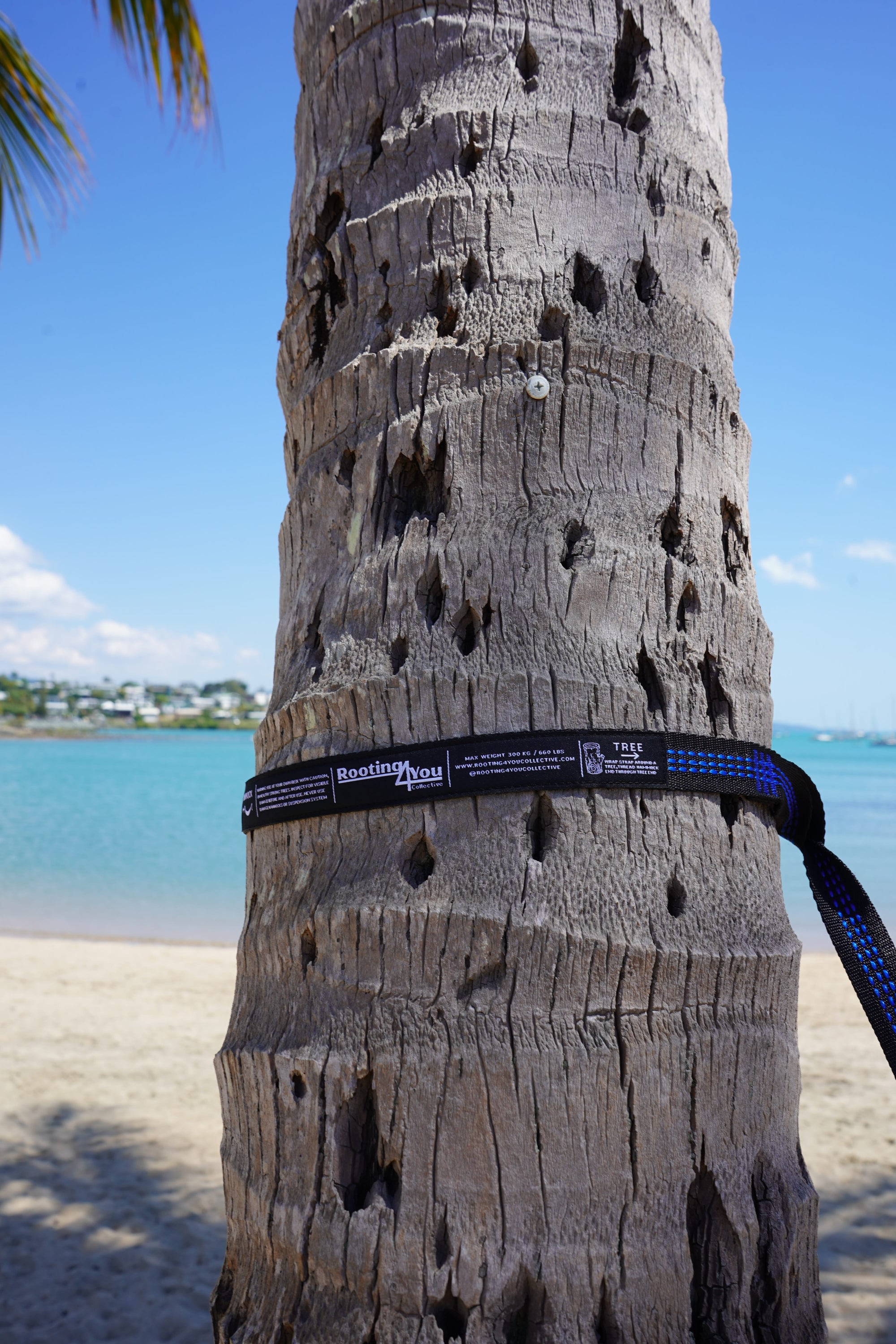 Hammock - Reef Blue