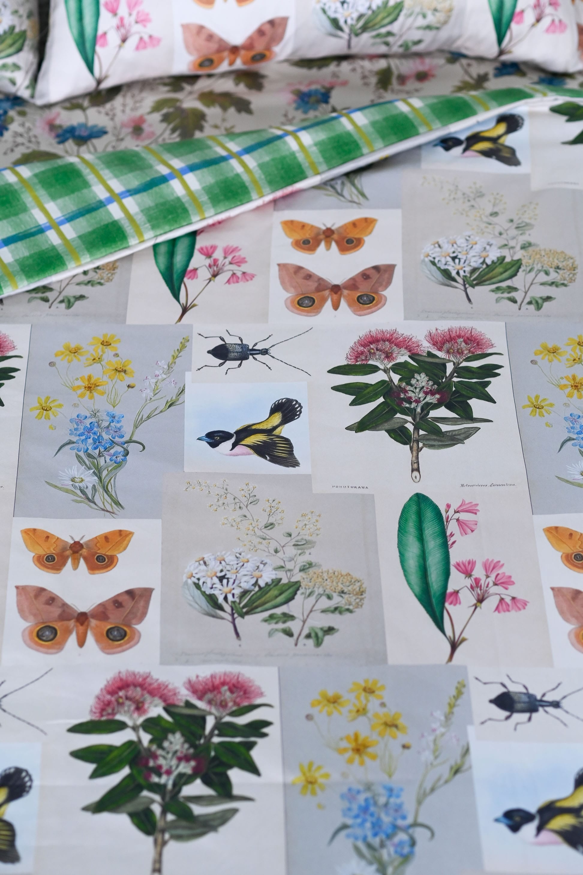 Natural World Duvet Cover *organic cotton