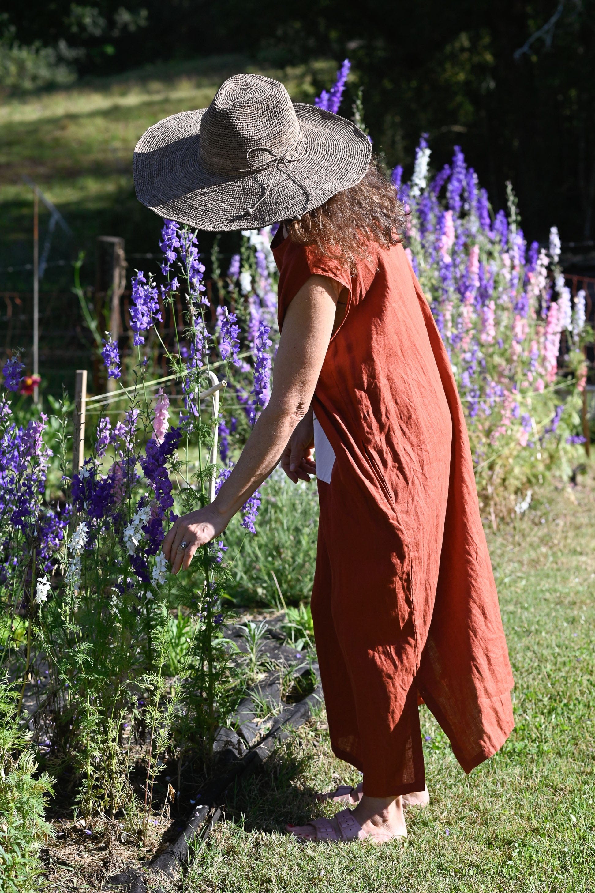 Polly linen Dress Hummingbird