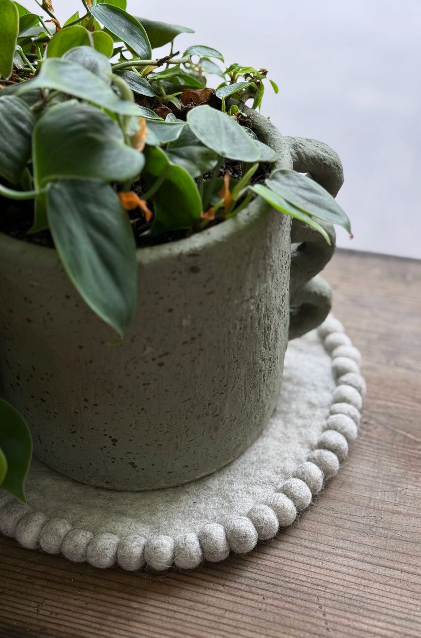 Felt Trivet Set Cloud