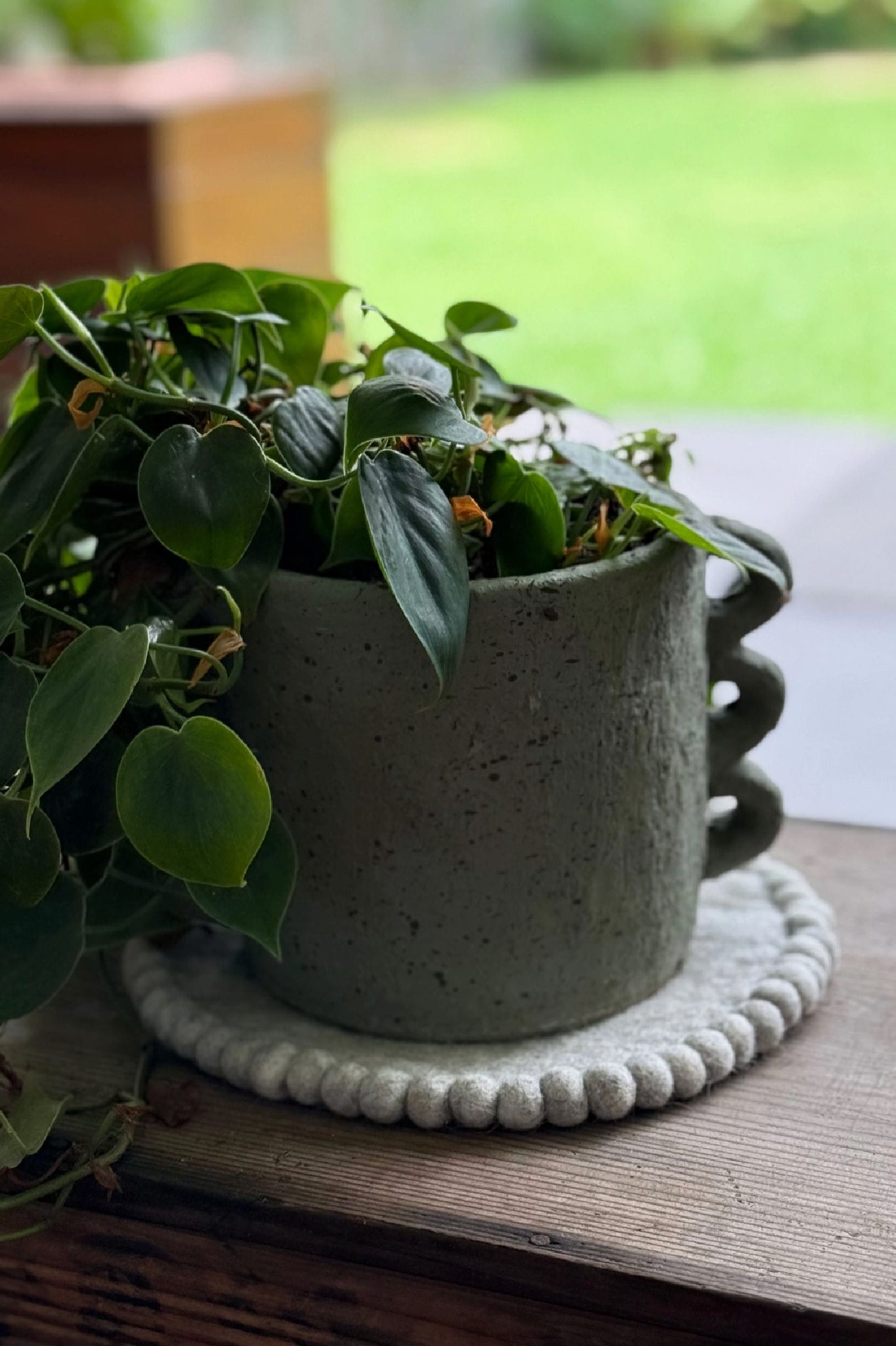 Felt Trivet Set Cloud