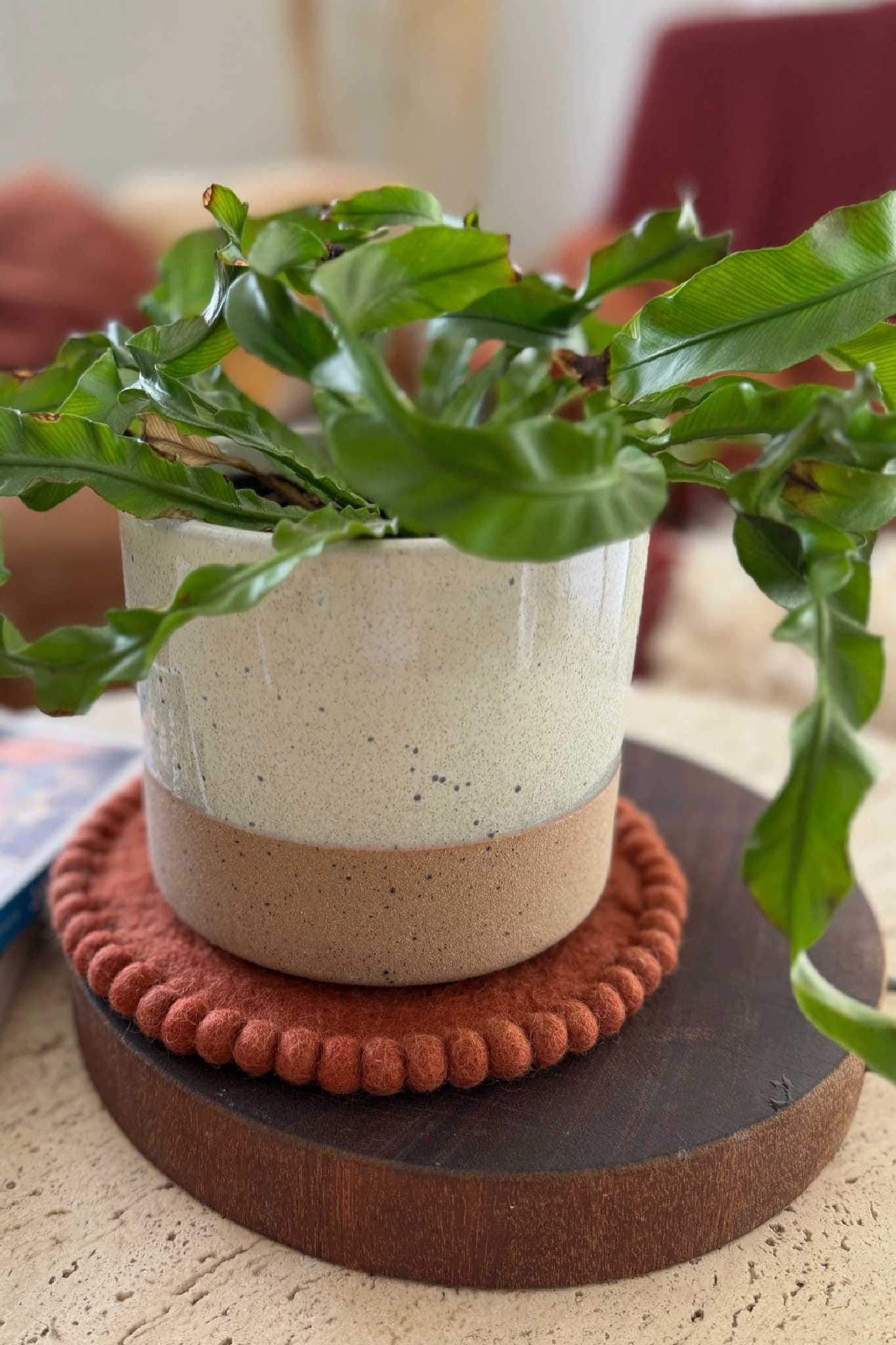 Felt Trivet Set Spiced Cocoa