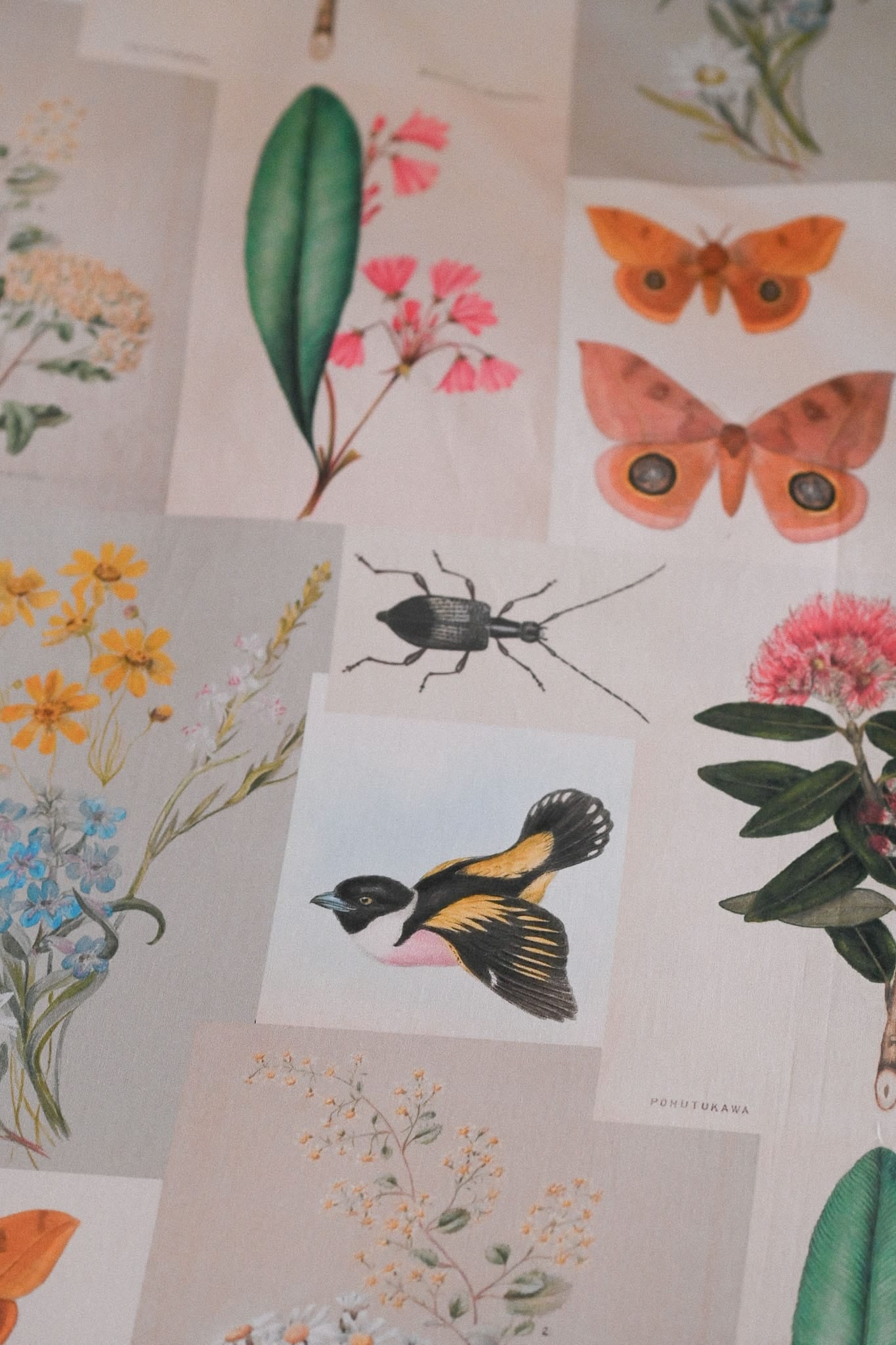 Natural World Pillowcase Set
