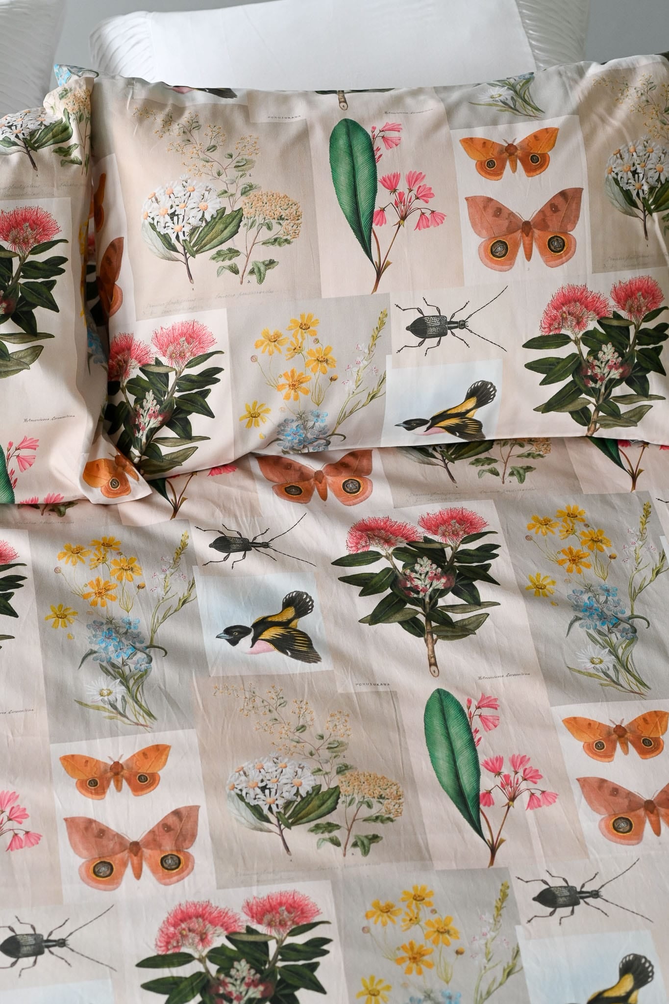 Natural World Duvet / Doona Cover organic cotton
