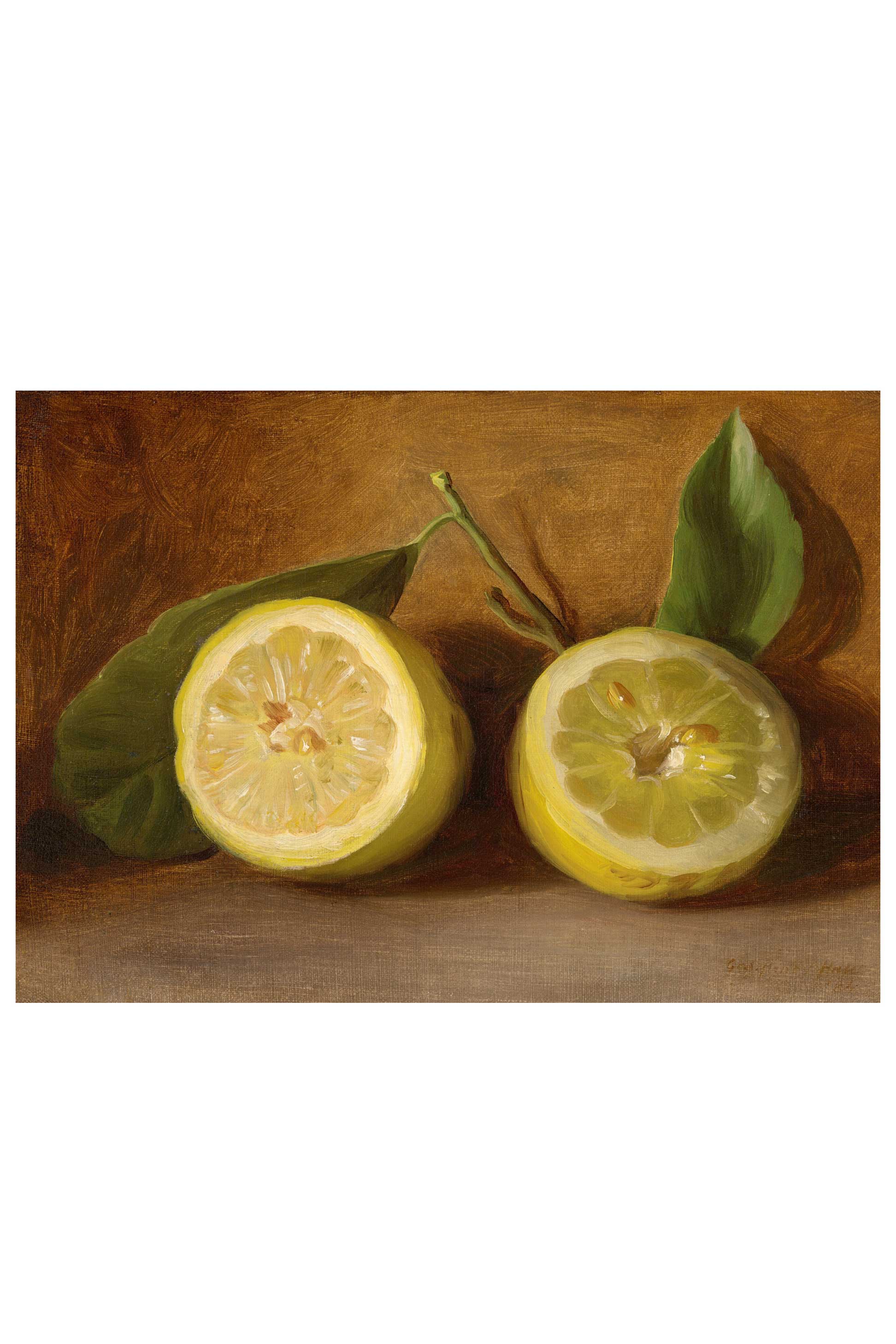 Two halved lemons with leaves.