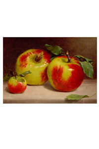 Art print of three apples with red and yellow coloring.